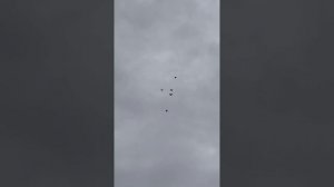 г.Мариуполь мои голуби