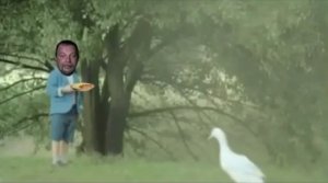 Зелёный Слоник - Поехавшие рекламы. Часть 1