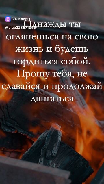 vkclips_20260103071536*** смотреть онлайн