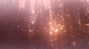 ЗИМА. ДОГОНЯЕМ СОЛНЫШКО