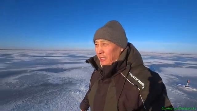 Открытие зимней рыбалки на Вячеславском водохранилище 02.01.2026г. Рыбалка на судака! смотреть онлайн