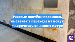 Ржавые подтёки появились на стенах в переходе на новую «коричневую» линию метро