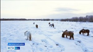 14:35 ВЕСТИ САХА 03/01/26 НА РУССКОМ ЯЗЫКЕ