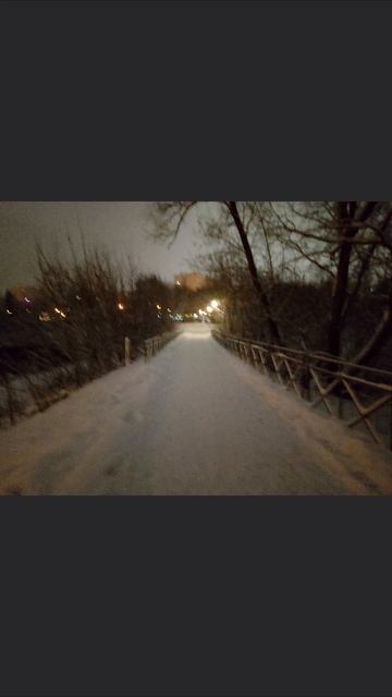 Снежная птица - стихотворение. смотреть онлайн