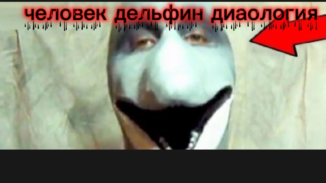 человек дельфин диалогия смотреть онлайн