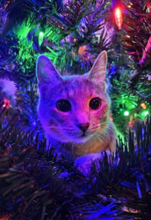 играю(и опщяюсь и с вами и с подругой)