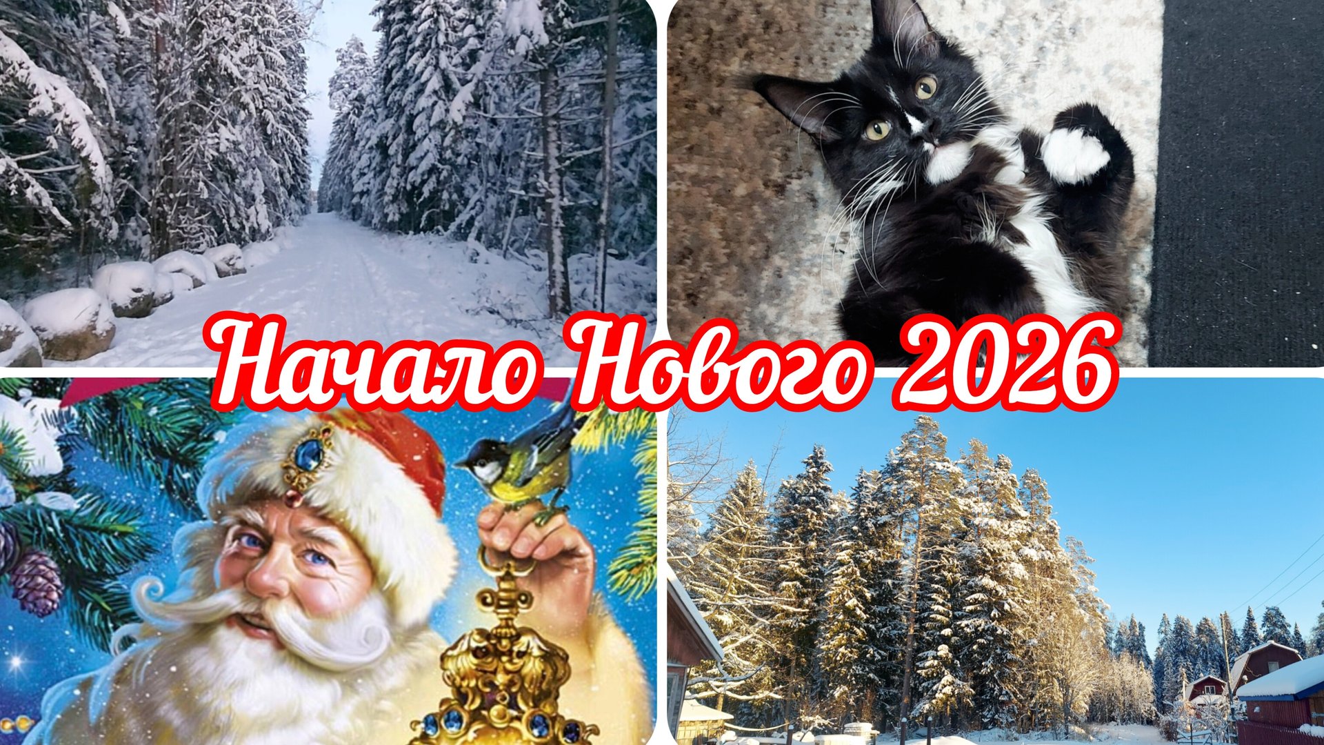 Моя МишельНовогодние каникулы Коптим рыбку реальнаяжизнь