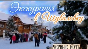 Русская деревня Шуваловка: Новогодняя сказка для детей в Петергофе! Мастер-класс, игры, Дед Мороз