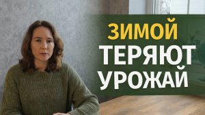3 ошибки садовода, которые лишают урожая.