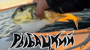 Рыбалка в Тин Кан Бей