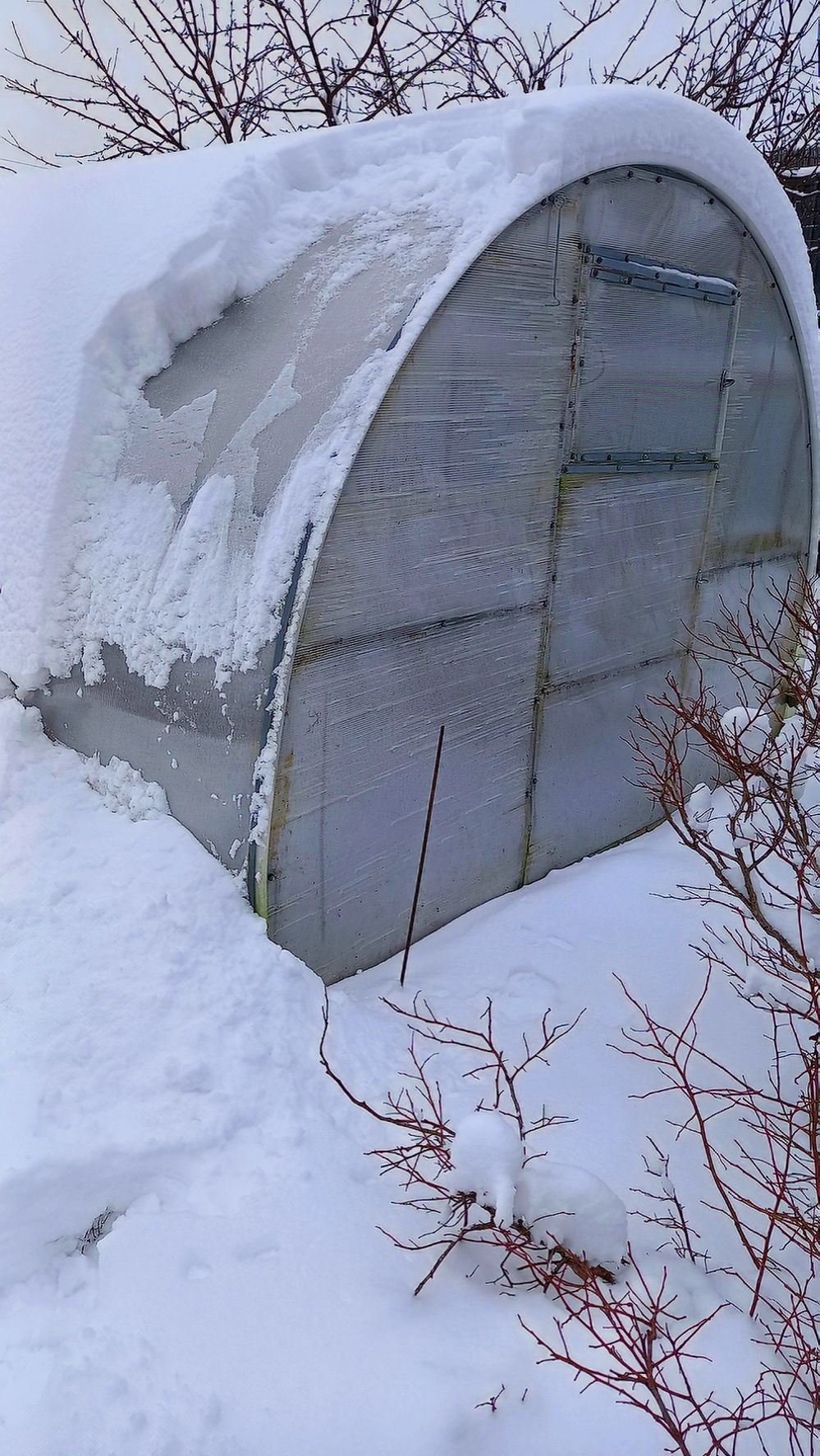 ТЕПЛИЦА ОЧИСТКА ОТ СНЕГА ЗИМОЙ смотреть онлайн