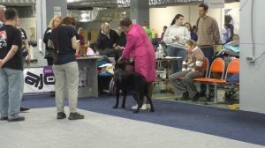 Бест Вео Лайн Олислава