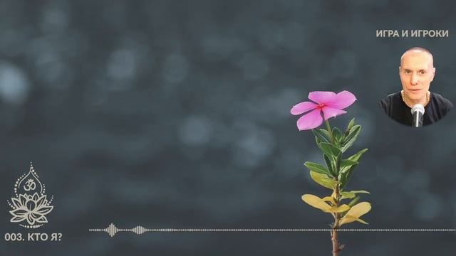 «Игра и Игроки». 003. Кто я. Сиддханта (Вячеслав Чернин)