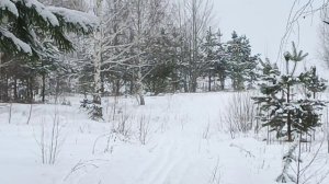 Белым  снегом...