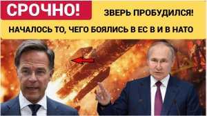 ЗВЕРЬ ПРОБУДИЛСЯ! НАЧАЛОСЬ ТО, ЧЕГО БОЯЛИСЬ В ЕС КИЕВ ПОДТВЕРДИЛ ХУДШИЕ СТРАХИ НАТО
