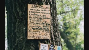 Про дурачка (Гражданская оборона cover)