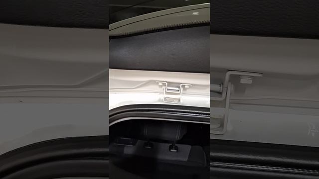 20251104_190417 смотреть онлайн