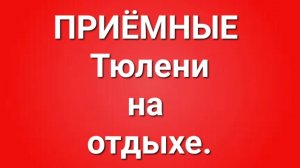 Приёмные/В последних сериях.