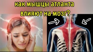 Атлант, шея, плечи и спина зависят от 4-х зажатых точек. Методы разблокировки