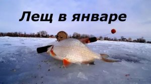 КАК ЛОВИТЬ ЛЕЩА в ЯНВАРЕ? НАЖИВКИ и СНАСТИ для ЛОВЛИ ЛЕЩА. МЕСТА ДЛЯ РЫБАЛКИ ЗИМОЙ