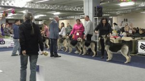 Производитель