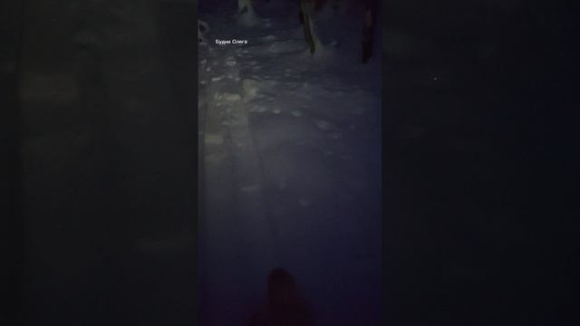 ОДИН В ТАЙГЕ. СТАВЛЮ КАПКАНЫ. ИДУ ПОД ФОНАРИКОМ К ИЗБУШКЕ смотреть онлайн