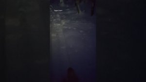 ОДИН В ТАЙГЕ. СТАВЛЮ КАПКАНЫ. ИДУ ПОД ФОНАРИКОМ К ИЗБУШКЕ