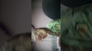 VID_20260103_123436.mp4