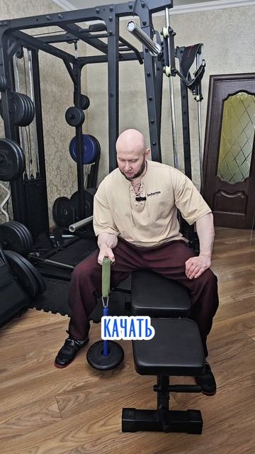 Накачать предплечья, сделать сильный хват, усилить армрестлинг и все это за час в неделю смотреть онлайн