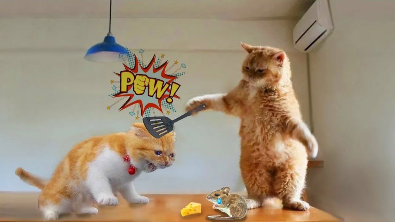 СМЕШНО ДО СЛЕЗ 😹😍 СМЕШНЫЕ КОТЫ, ЛУЧШИЕ ПРИКОЛЫ С КОТАМИ, СОБАКАМИ КОШКИ,СОБАКИ , ЖИВОТНЫЕ 🥰 смотреть онлайн