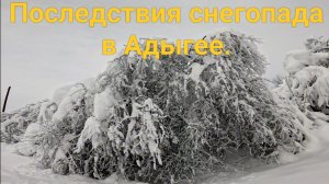 Последствия снегопада в Адыгее.