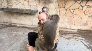 Влад принес Анфису и Люська устроила и ему, и Анфисе досмотр с пристрастием)))