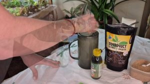 ГРИБНОЙ КОМАР.КАК ЕГО УНИЧТОЖИТЬ?!