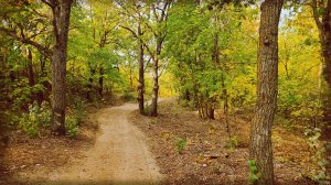 Место, где всегда есть находки.