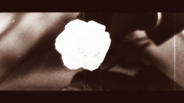 Новая премьера.🔥🫶GugaST project-Люблю♥️ смотреть онлайн