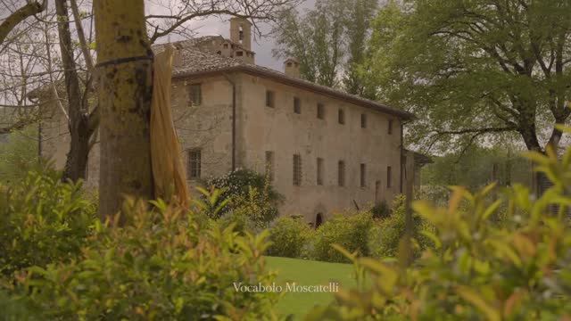 ПРЕКРАСНАЯ УМБРИЯ, Италия. САДЫ ГОРОДКА СПЕЛЛО смотреть онлайн