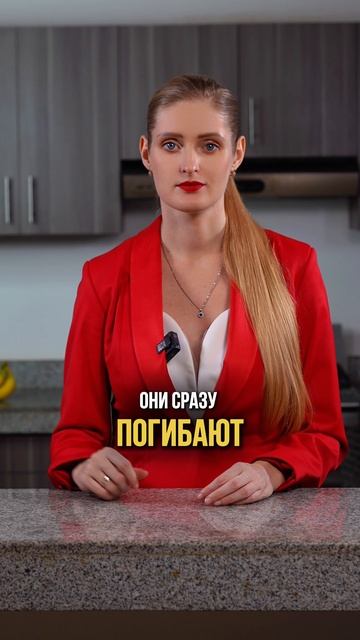 Может ли МЕД хранится ВЕЧНО? смотреть онлайн