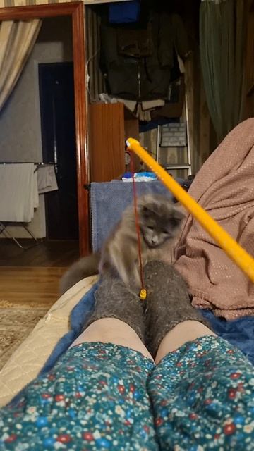 Ночные забавы