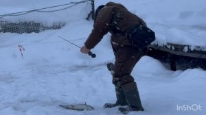 Поимки Форели после запуска