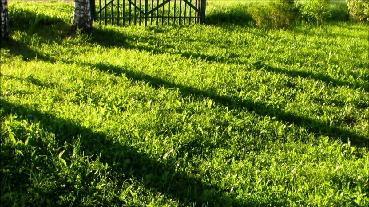 Длинные вечерние тени смотреть онлайн