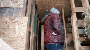 Такие будни в деревне.