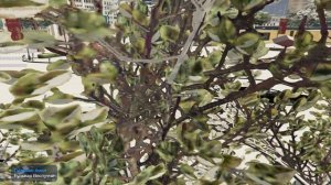 опщуенный 2.0