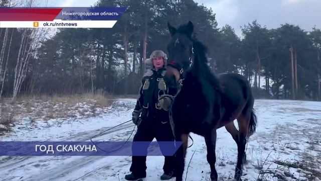 Семья Семёновых из Нижегородской области содержит двух лошадей – символов Нового года смотреть онлайн