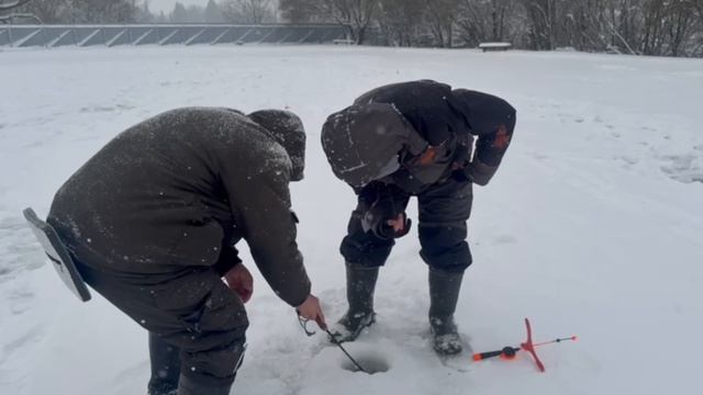 Онлайн с водоема смотреть онлайн