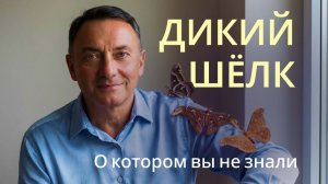 ДИКИЙ ШЕЛК, о котором ВЫ не ЗНАЛИ. За гранью атласа: туссар, эри, чесуча, бурет, шаппе и дюпиони