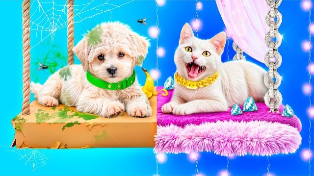 Мы построили двухэтажную кровать для животных! смотреть онлайн