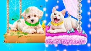 Мы построили двухэтажную кровать для животных!