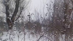 Идём по посёлку))