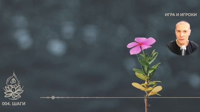 «Игра и Игроки». 004. Шаги. Сиддханта (Вячеслав Чернин)