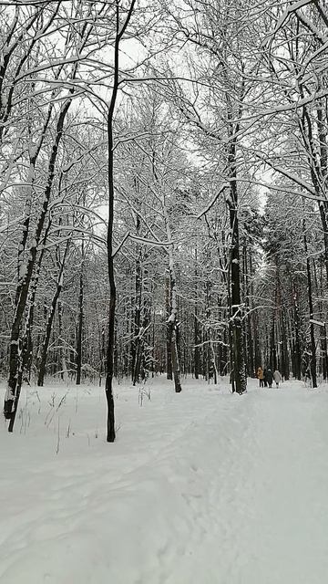 какая красота,это наша зима.mp4 смотреть онлайн